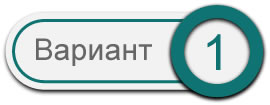 Вариант 1